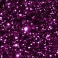 fuksia