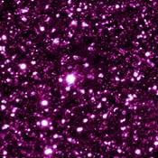 fuksia fuksia