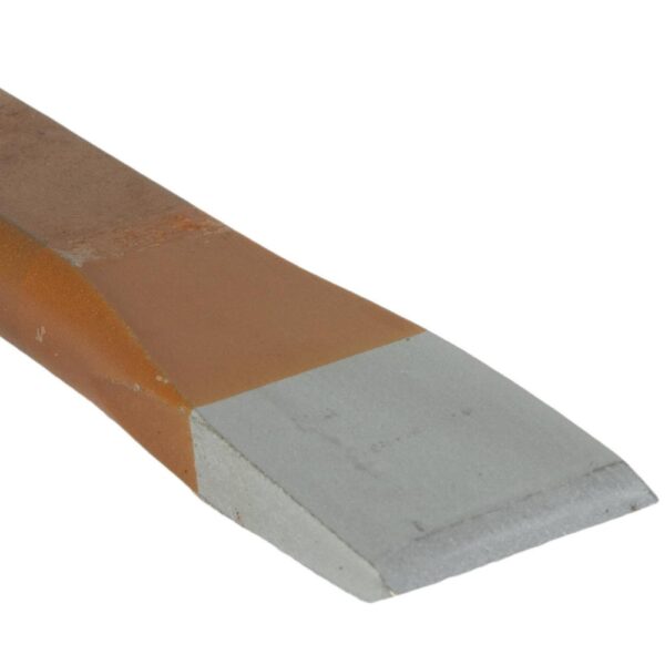 SCHWAN-LYONTITALTTA_1 SCHWAN-LYONTITALTTA_1