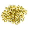 Procat Purjerenkaat 4 mm